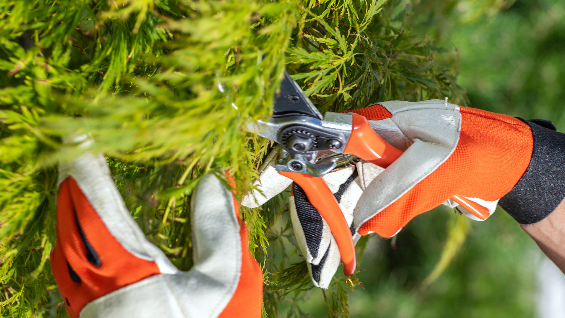 Grünflächenbetreuung